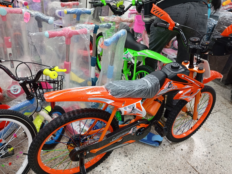 888 Bicicletas y carreolas